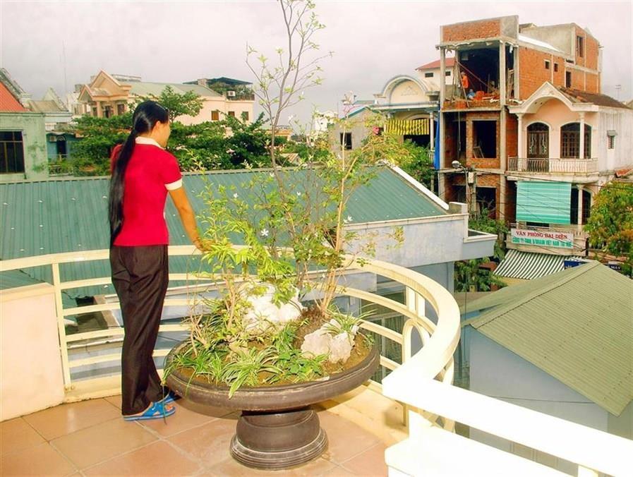 Nhu Phu Hotel เว้ ภายนอก รูปภาพ